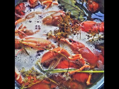 Классика - Размер &quot;XL&quot; от 80 до 140 гр/шт