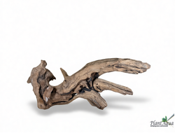 SwetAqua Chinese Sunken EXCLUSIVE 8033 (560х250х160 мм) - Натуральная коряга "Китайская затонувшая" EXCLUSIVE