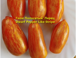 Томат Гном Полосатый перец  (Dwarf Pepper Like Stripe)