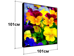 Полноцветные экраны VIDEO 101 см х 101 см