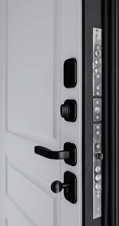 Дверь ДК21 зеркало лиственница