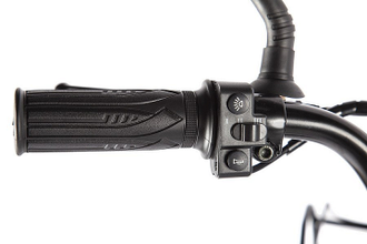 Электровелосипед GREEN CITY e-ALFA Fat 24/3, черный