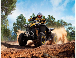 Квадроциклы