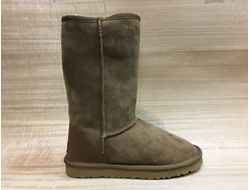 UGG Australia Коричневые Высокие (36-40) Арт.016M