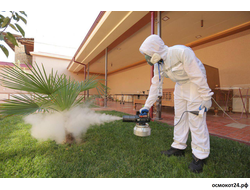 Фумиганты (от насекомых, грызунов, микроорганизмов)