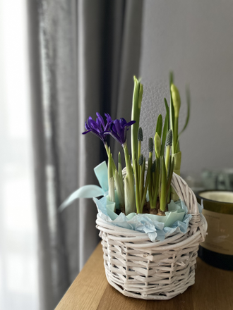 Spring baskets