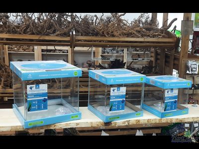 Аквариум Prime Nano Cube OptiWhite 17 л