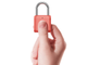 Умный навесной замок Xiaomi Uodi Smart Fingerprint Padlock YD-K1 Red