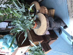 Декор витрины мебельного магазина,Мюнхен, Германия.