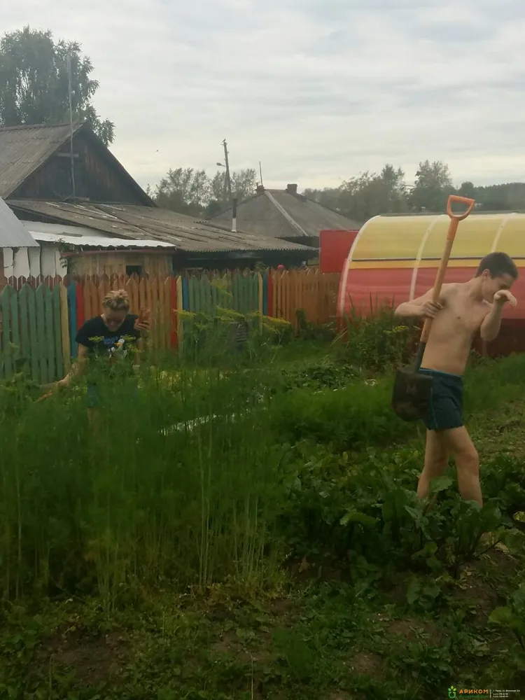 Теплица из сотового поликарбоната с раздвижной крышей от Ариком в Перми и Кунгуре