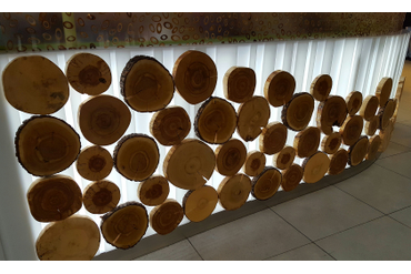 Декор на фудкорте спилами разных пород дерева, МЕГА Теплый Стан, г.Москва.