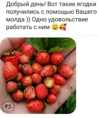 Mozza-Flowers. Силиконовые формы.