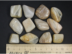 Лунный камень, галтовка в ассортименте, Индия (20-30 мм, 8-10 г) №6570