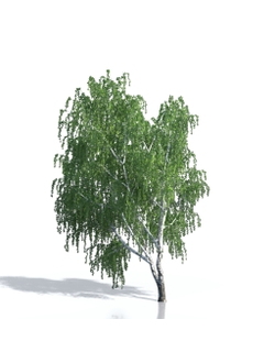 Billboards Дерево летнее_03