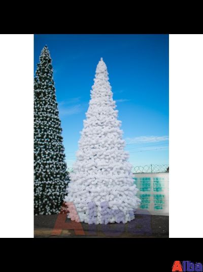 Сосна каркасная "Уральская" белая, хвоя леска, от 4 до 30 м 4 м