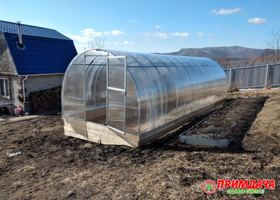 Теплица «Дачница Усиленная» 3*8 м. Сотовый поликарбонат 6 мм.