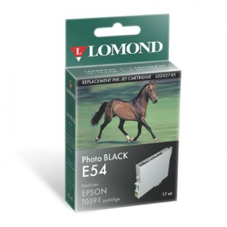 Картридж для принтера Epson, Lomonnd E54 Photo Black, Фото черный, 17мл, Пигментные чернила