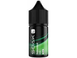 SOAK L SALT (20 MG) 30ml - БЕРЕЗОВЫЙ СОК