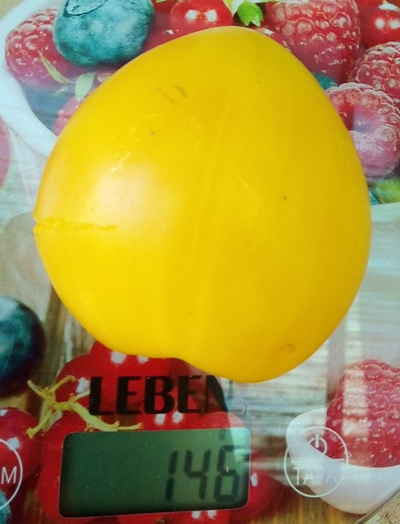 Томат гном Лимонный лед (Dwarf Lemon Ice, дварф Лемон айс) США