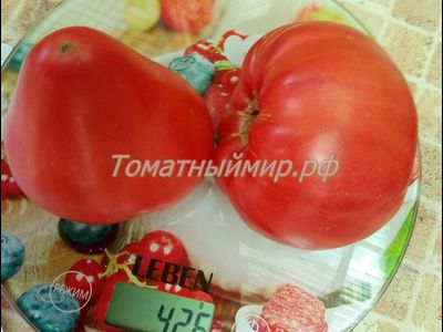 Томат Андижанские