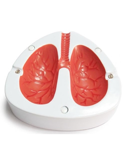 Кашляющая пепельница