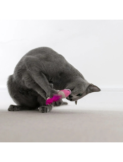 Игрушка для кошек Dental "Креветки" с кошачьей мятой