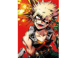 Плакат Моя геройская академия №15