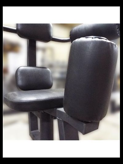 Торс машина 60 кг AV221/80