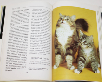Г. Макхэтти. Кошки от А до Я. Энциклопедия. М.: Вагриус. 1996.