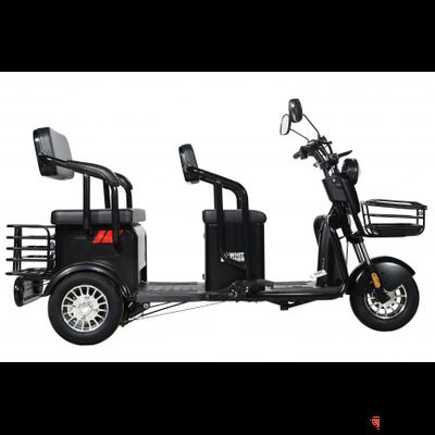 Пассажирский трицикл WHITE SIBERIA SIBTRIKE R 2000W
