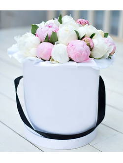 19 пионов в шляпной коробке