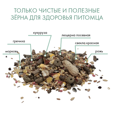 Fiory (Фиори) Ratty корм для крыс, 850 г