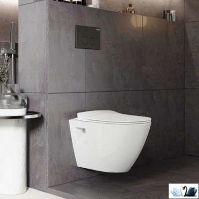 Интерьер с унитазом Creavit Terra TP325-11CB00E-0000 и плоским сиденьем Ducky