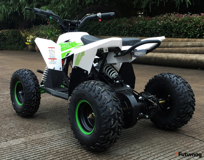 Электроквадроцикл Motax GEKKON 1300W белый