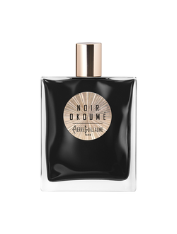 Pierre Guillaume NOIR OKOUMÉ