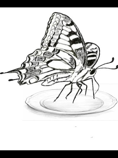 СМЕСЬ ДЛЯ КОРМЛЕНИЯ БАБОЧЕК