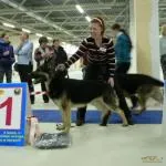 Кир Клайд Каскад ЛК