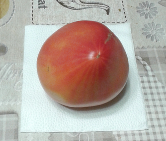 Семена томата Полуночное солнце от интернет-магазина УралТомат