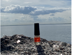 Духи НОТА: ЮНАЯ КОЖА, 2.5 мл