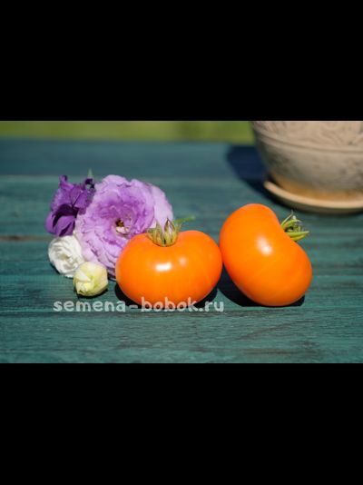 Томат Персик и Крем (Peaches and Cream), 10 шт