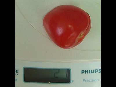 Томат Черри Клубничка