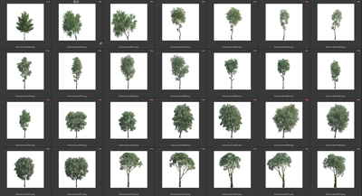 Деревья летние лиственные