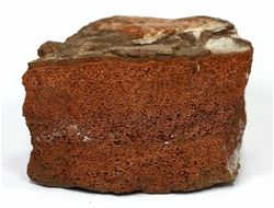 Анальцимолит