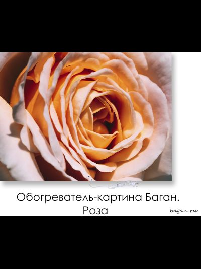 Обогреватель-картина Баган "Роза"