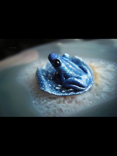 &quot;Синяя Китовая лягушка&quot;, волшебная мини-брошь с гематитовой звёздочкой