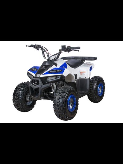 Квадроцикл YACOTA RAPOSA