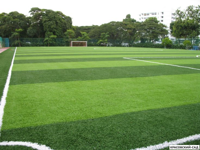Рулонный газон Биг-ролл