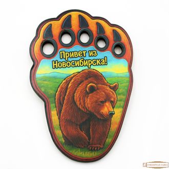 магнит цветной привет из Новосибирска