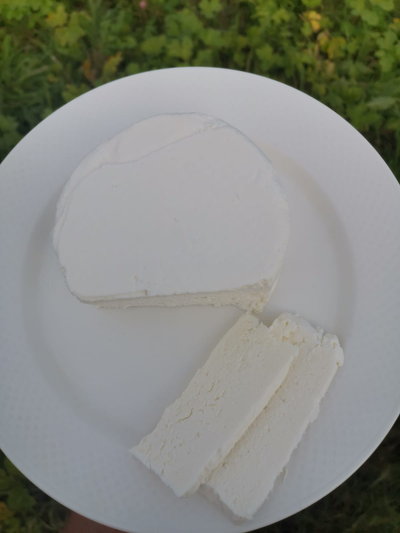 Шевр натуральный из козьего молока | ферма СытникЪ