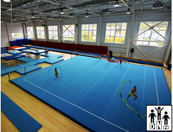 Ковёр для художественной / спортивной гимнастики (ДАЛЬВАНИЧЕСКИЙ) 14*14*0.030 м